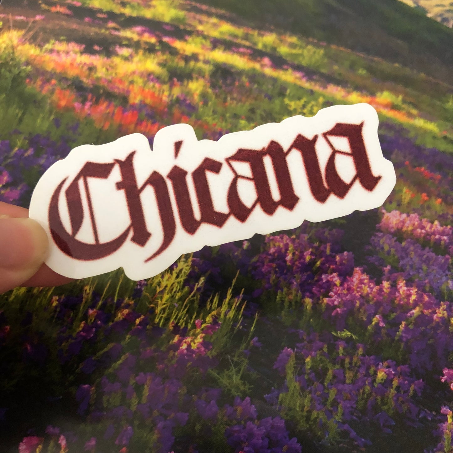 CHICANA sticker